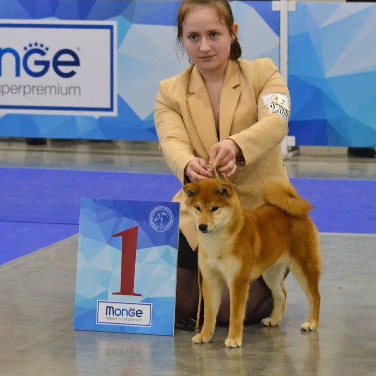 Dog show 2017. SHIOMARU Питомник сиба и акита-ину