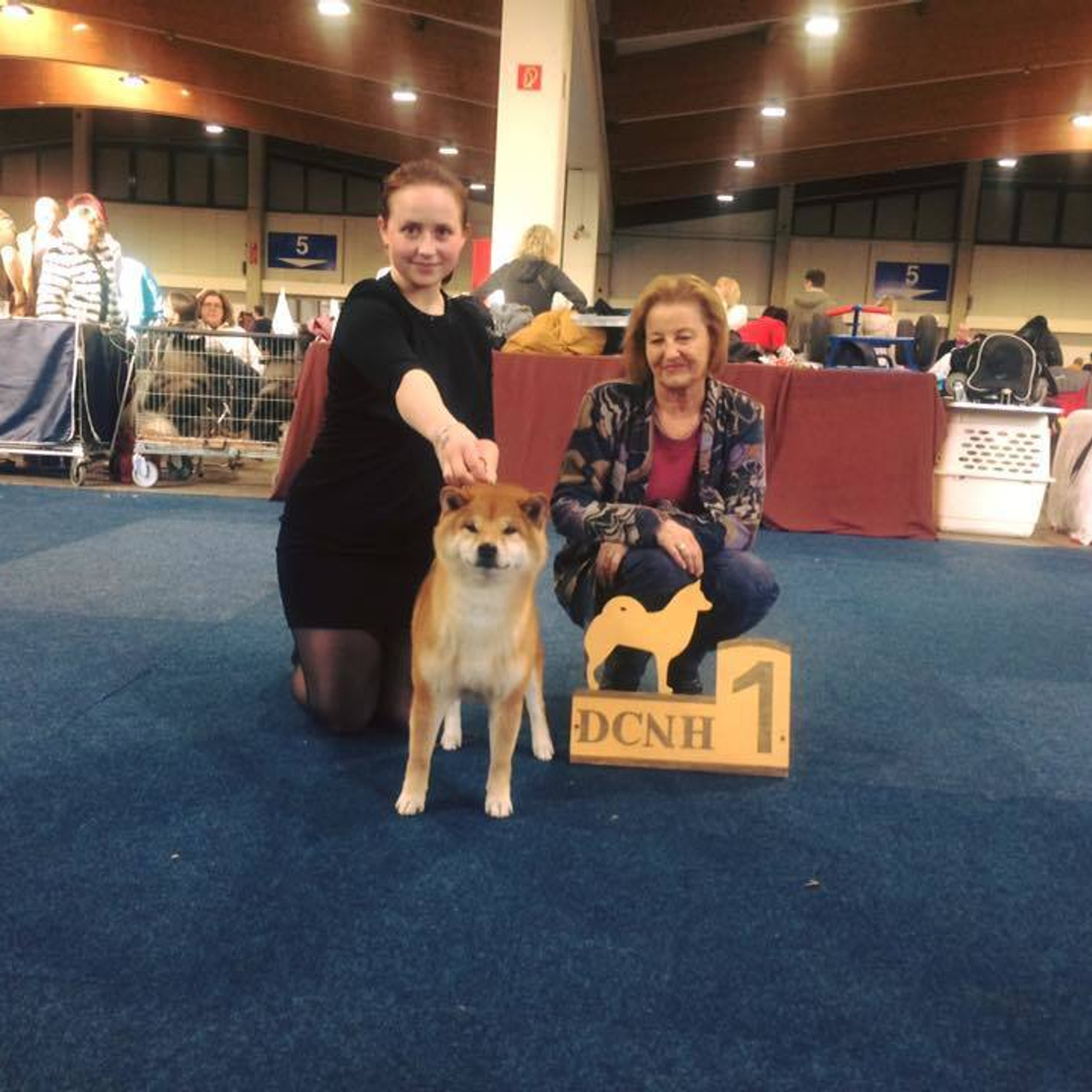 Dog show 2016. SHIOMARU Питомник сиба и акита-ину