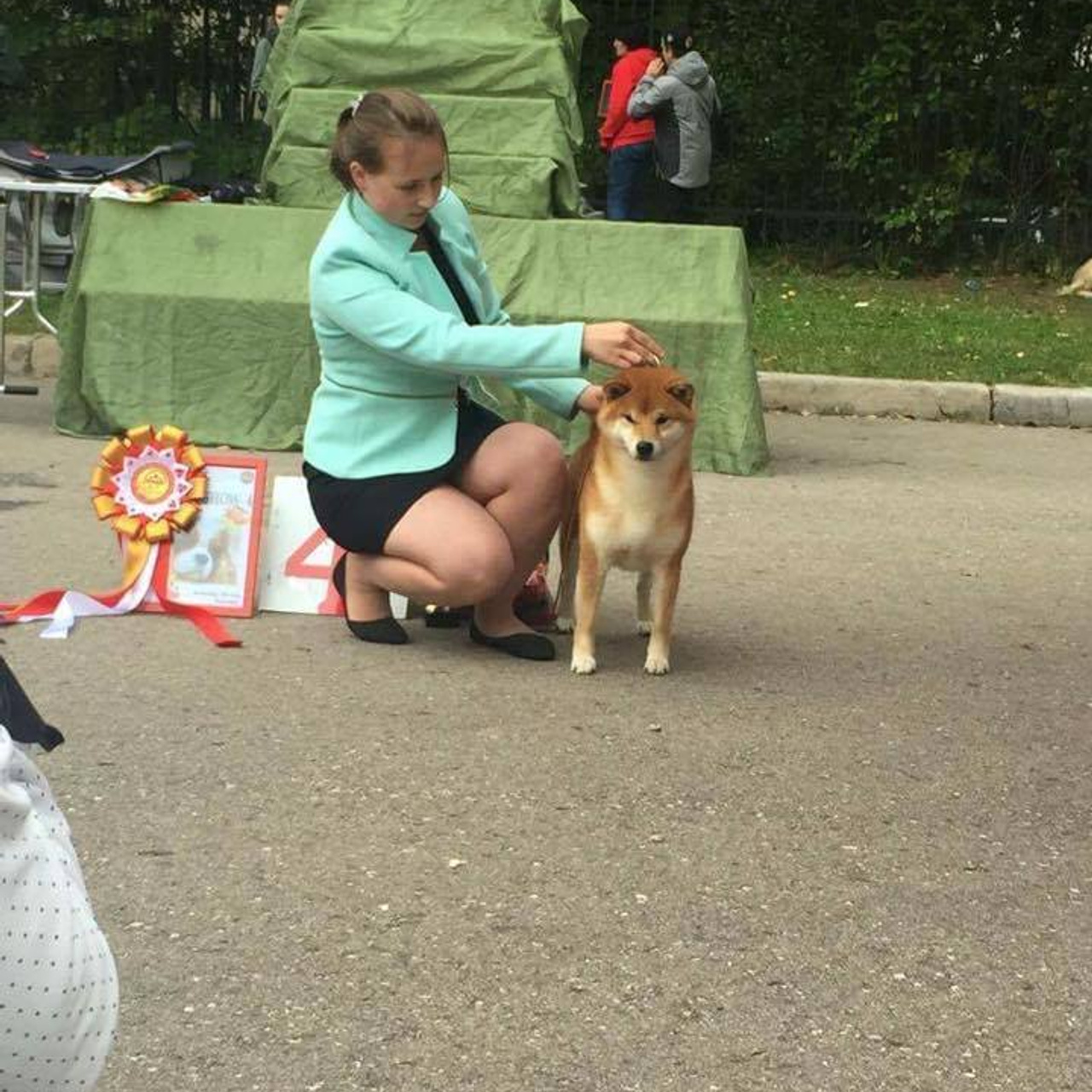 Dog show 2016. SHIOMARU Питомник сиба и акита-ину