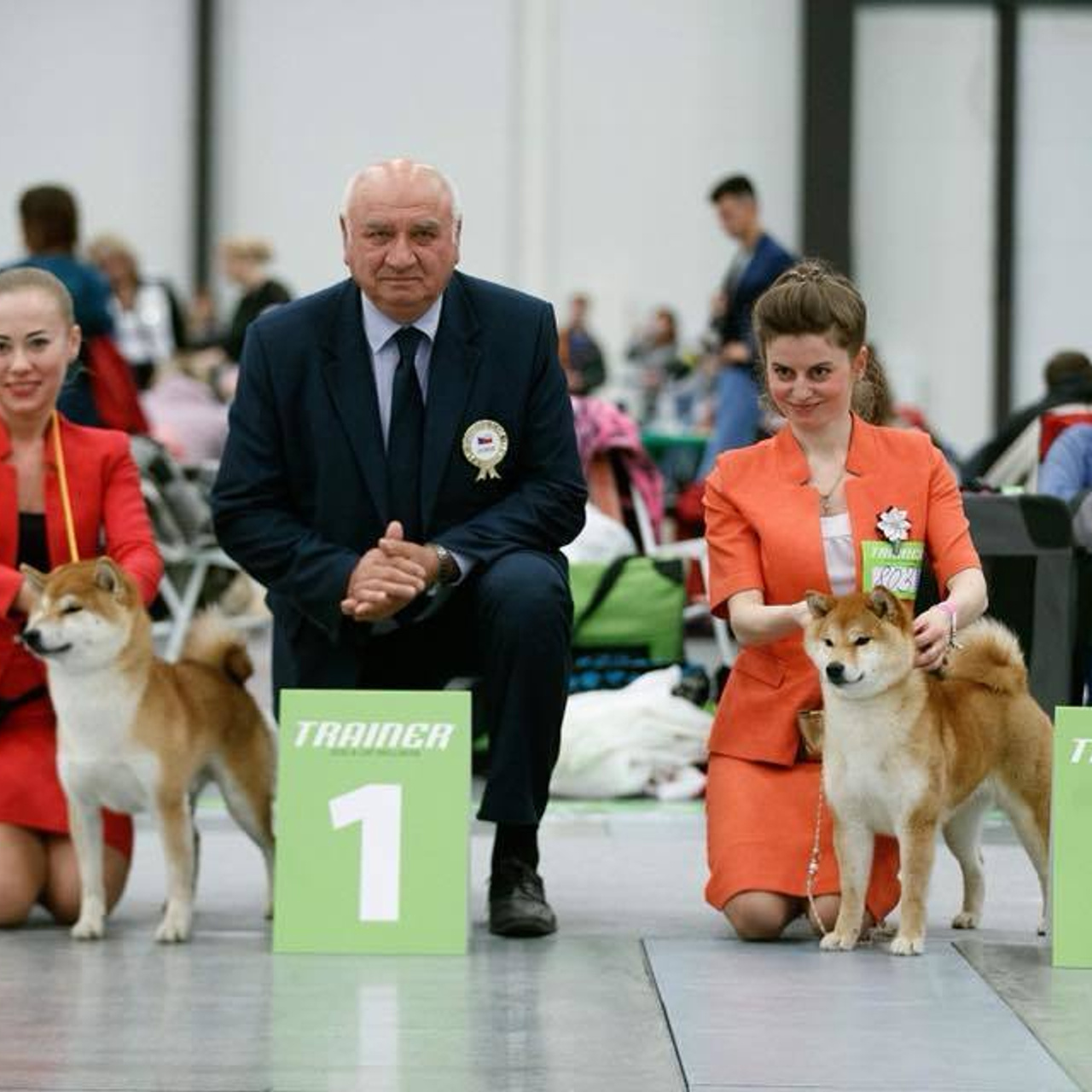 Dog show 2018. SHIOMARU Питомник сиба и акита-ину