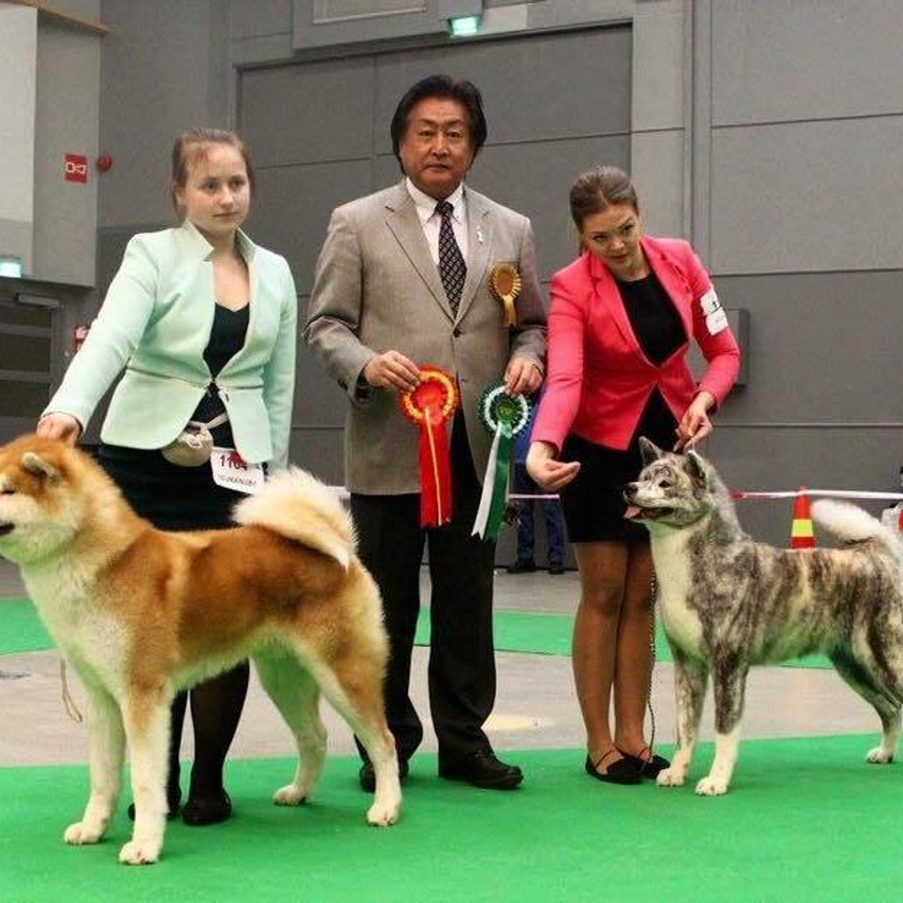 Dog show 2017. SHIOMARU Питомник сиба и акита-ину