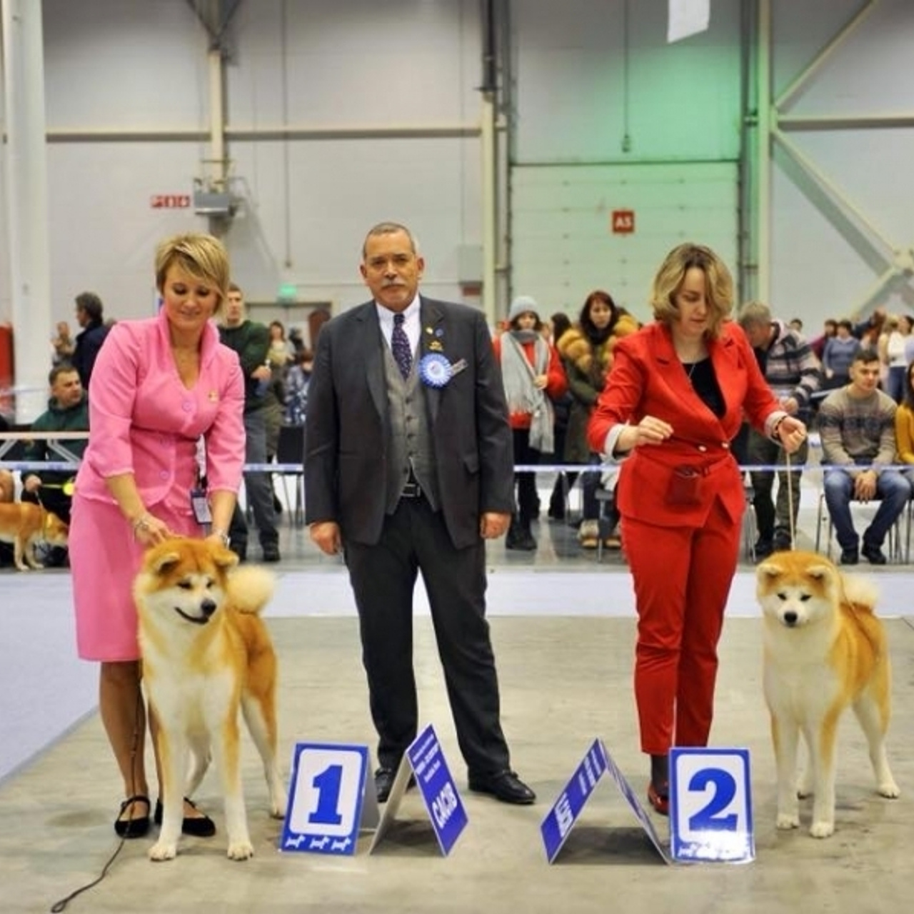 Выпускники питомника. SHIOMARU Питомник сиба и акита-ину