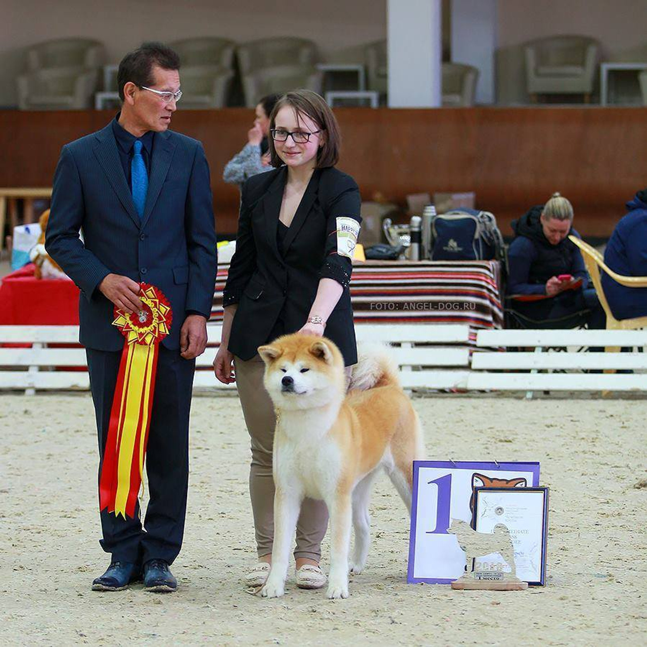 Dog show 2016. SHIOMARU Питомник сиба и акита-ину