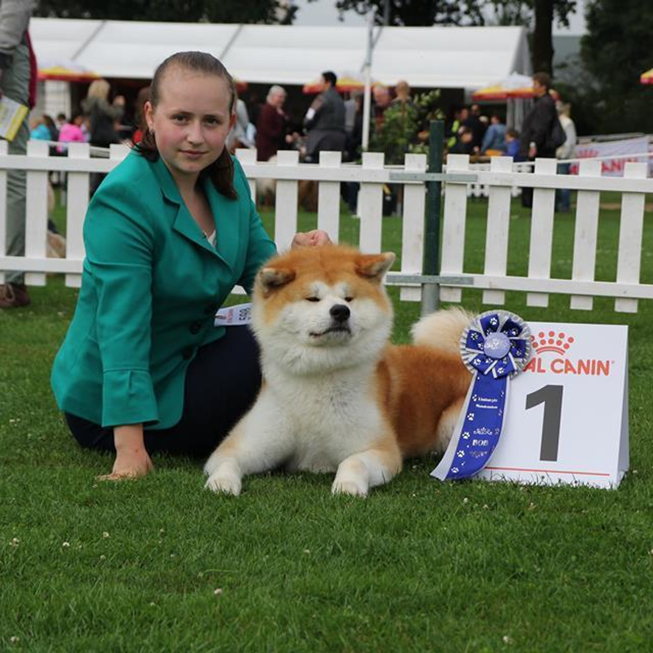Dog show 2017. SHIOMARU Питомник сиба и акита-ину