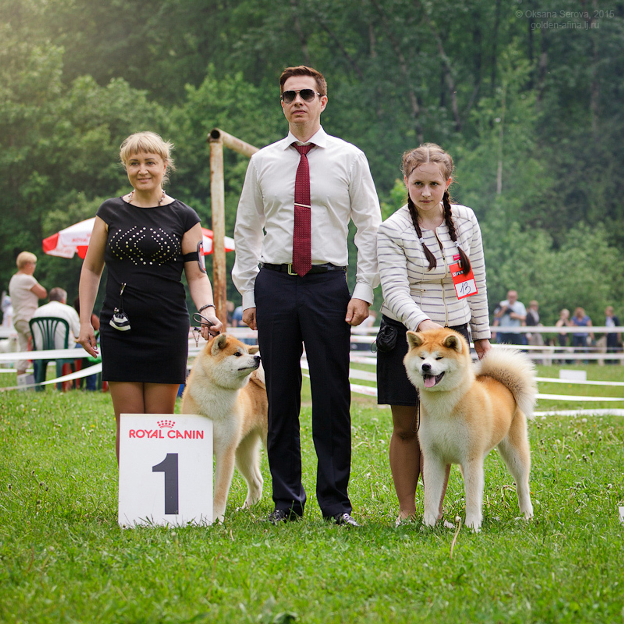 AIKEN SAGARIME UOSHIKO. SHIOMARU Питомник сиба и акита-ину