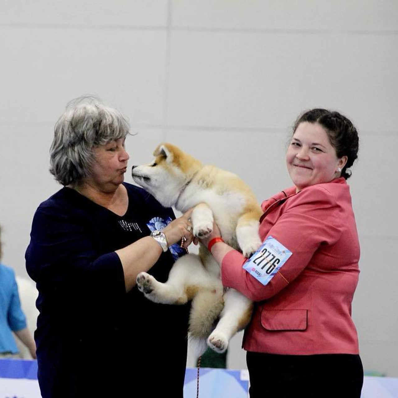 Выпускники питомника. SHIOMARU Питомник сиба и акита-ину