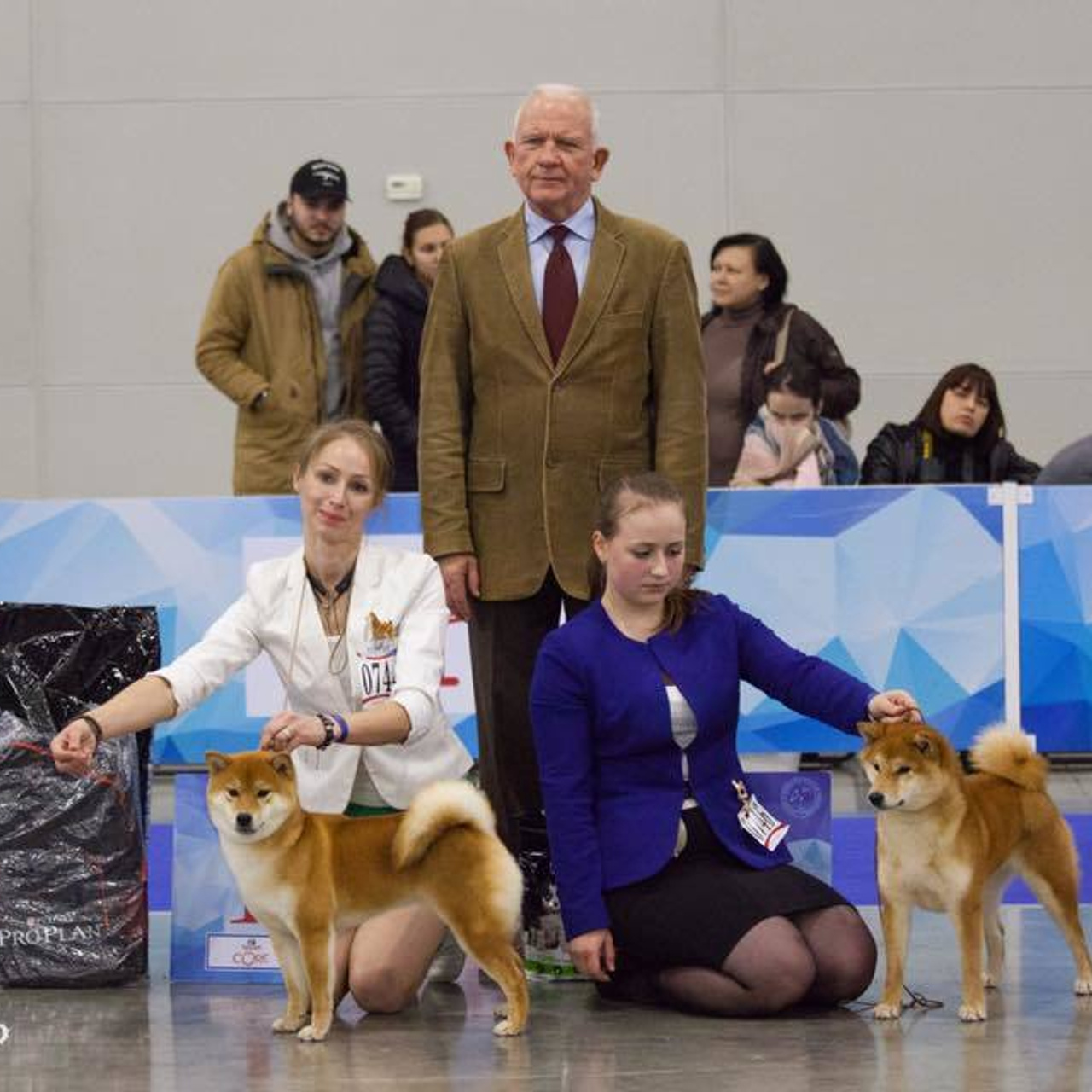 Dog show 2017. SHIOMARU Питомник сиба и акита-ину