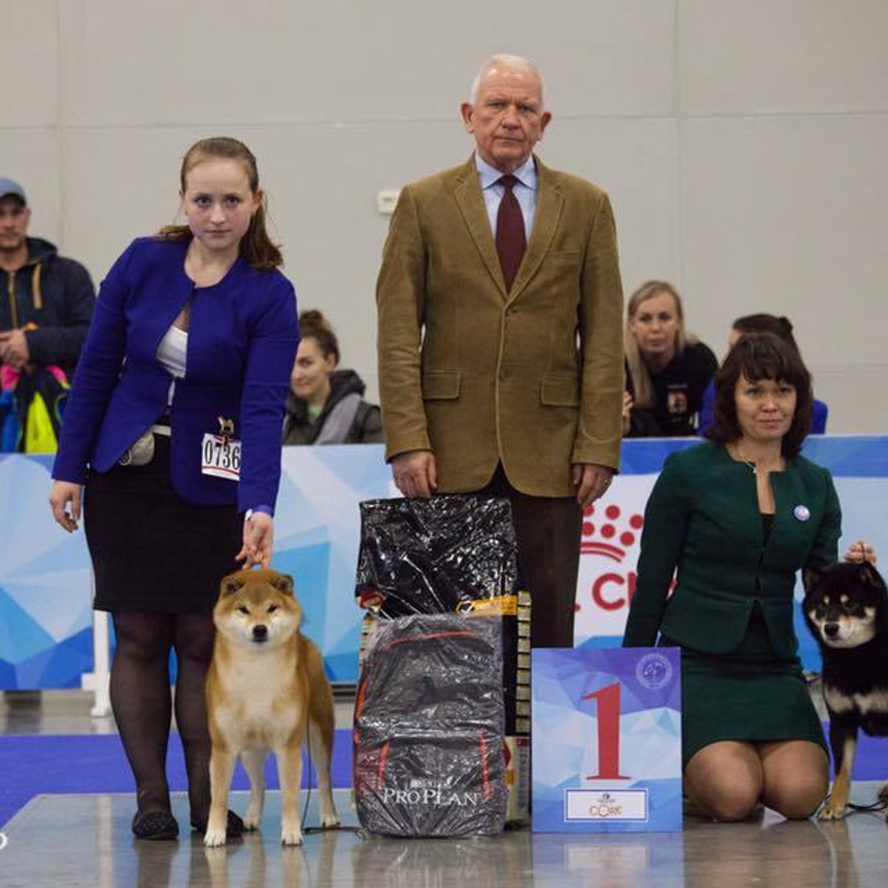 Dog show 2017. SHIOMARU Питомник сиба и акита-ину