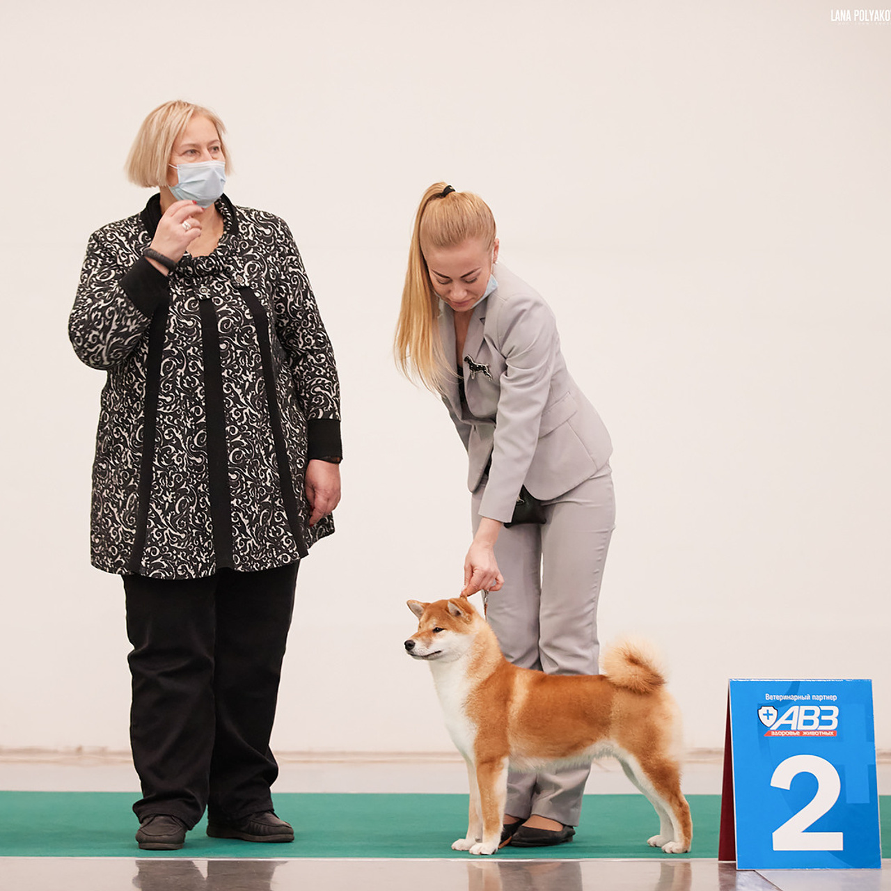 2020. SHIOMARU Shiba and Akita Inu Kennel