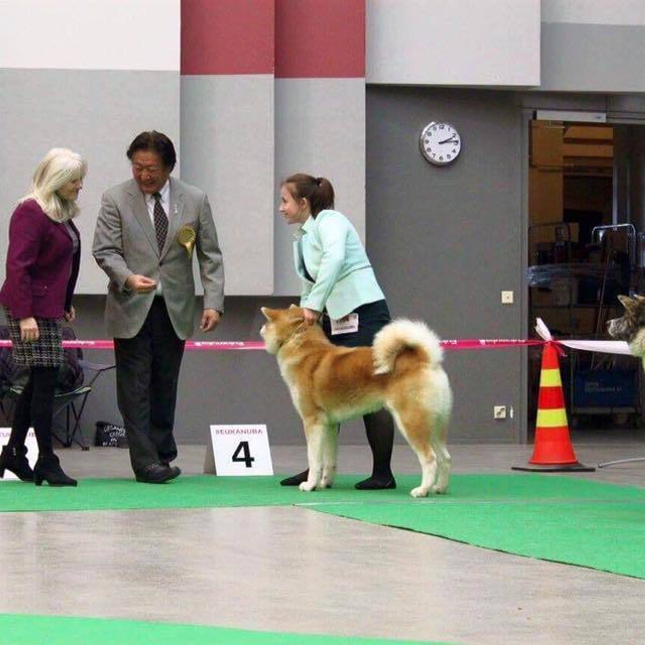 Dog show 2017. SHIOMARU Питомник сиба и акита-ину