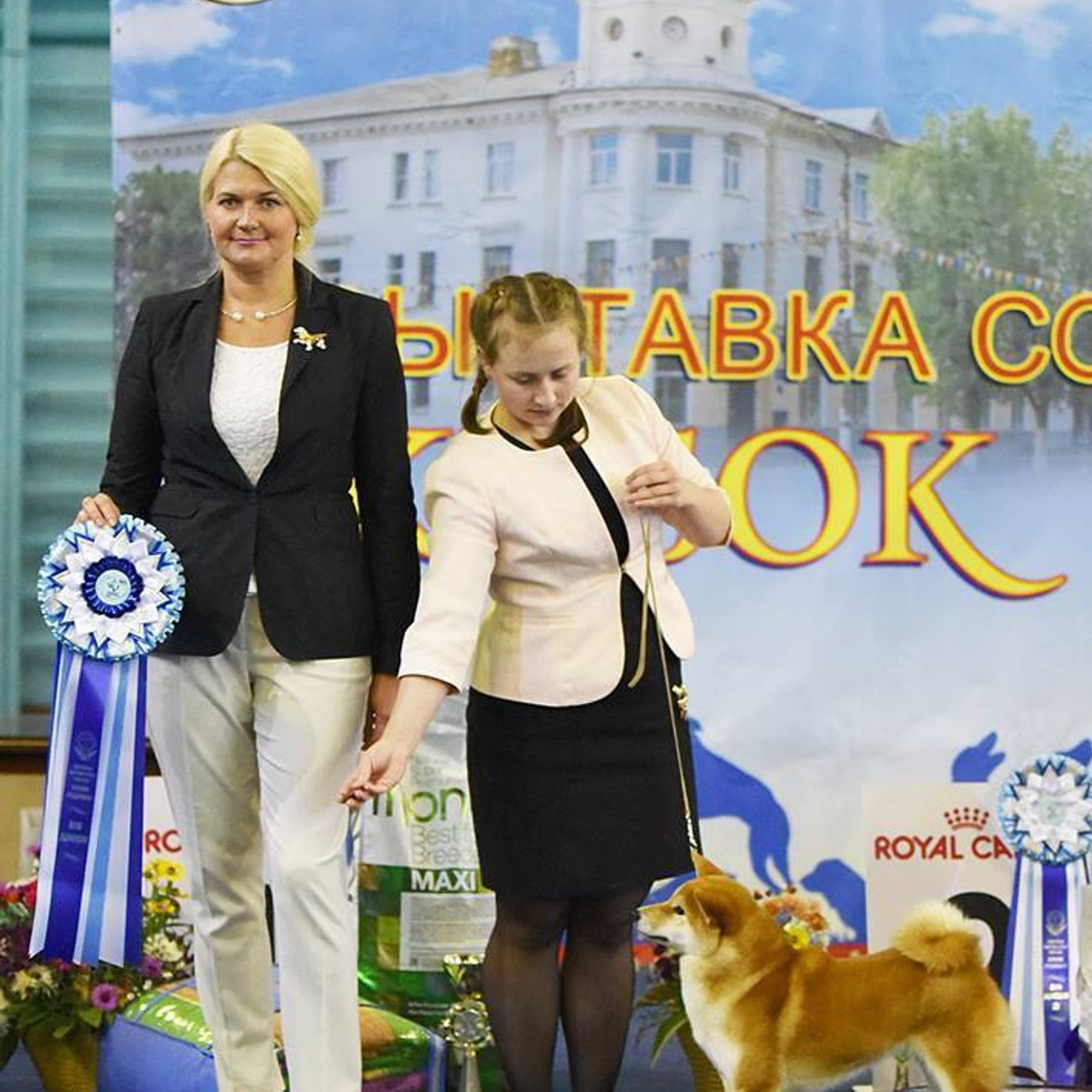 Dog show 2017. SHIOMARU Питомник сиба и акита-ину