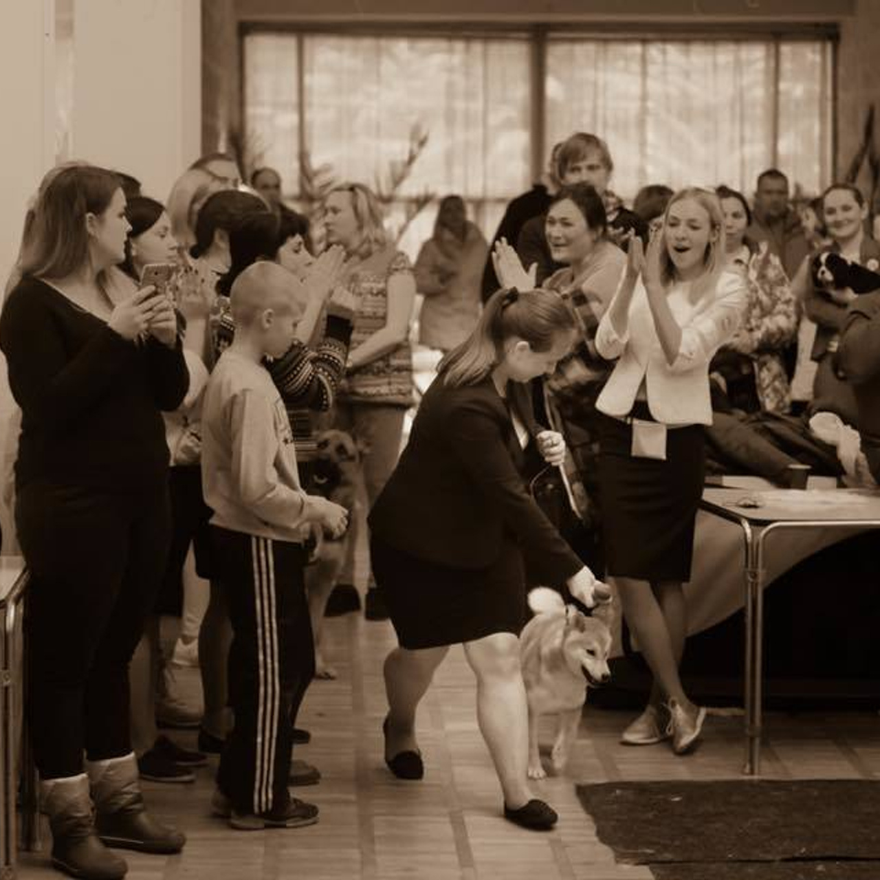 Dog show 2017. SHIOMARU Питомник сиба и акита-ину