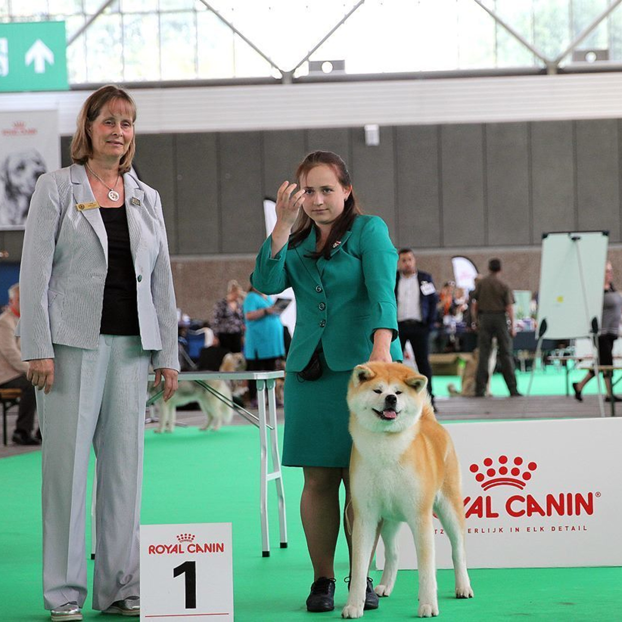 Dog show 2018. SHIOMARU Питомник сиба и акита-ину