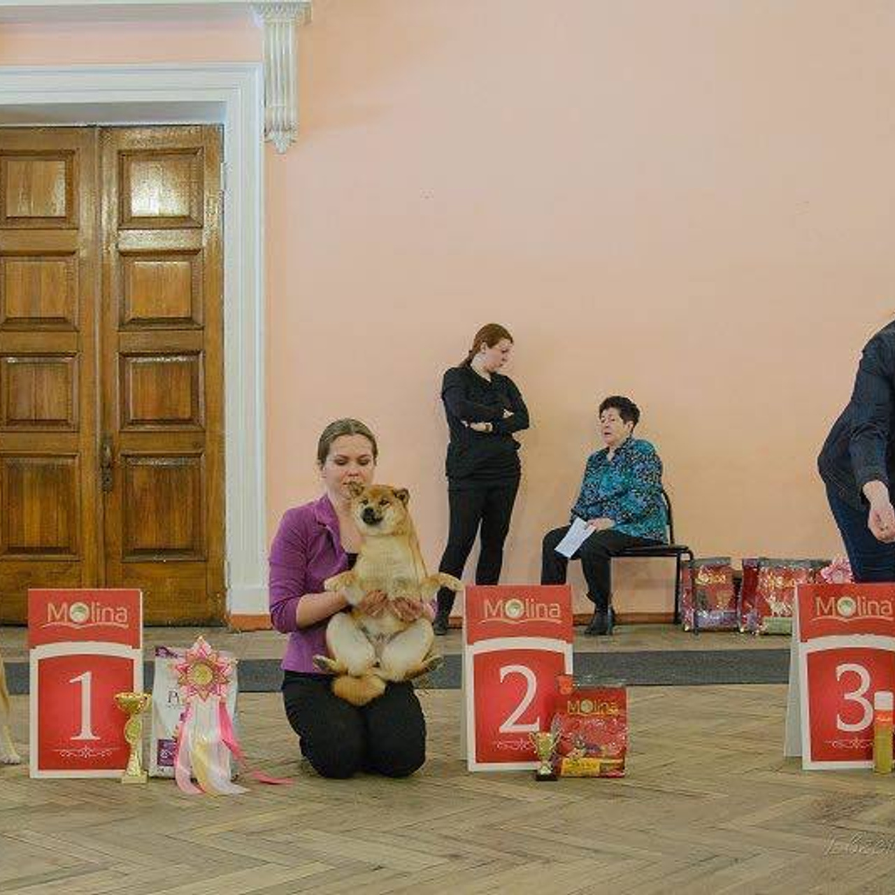 Dog show 2018. SHIOMARU Питомник сиба и акита-ину