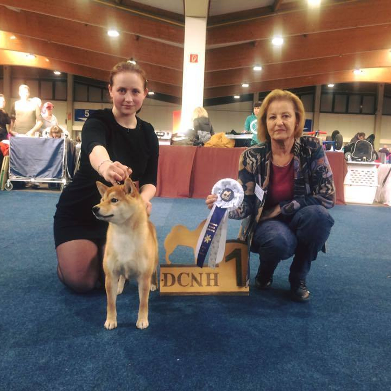 Dog show 2016. SHIOMARU Питомник сиба и акита-ину