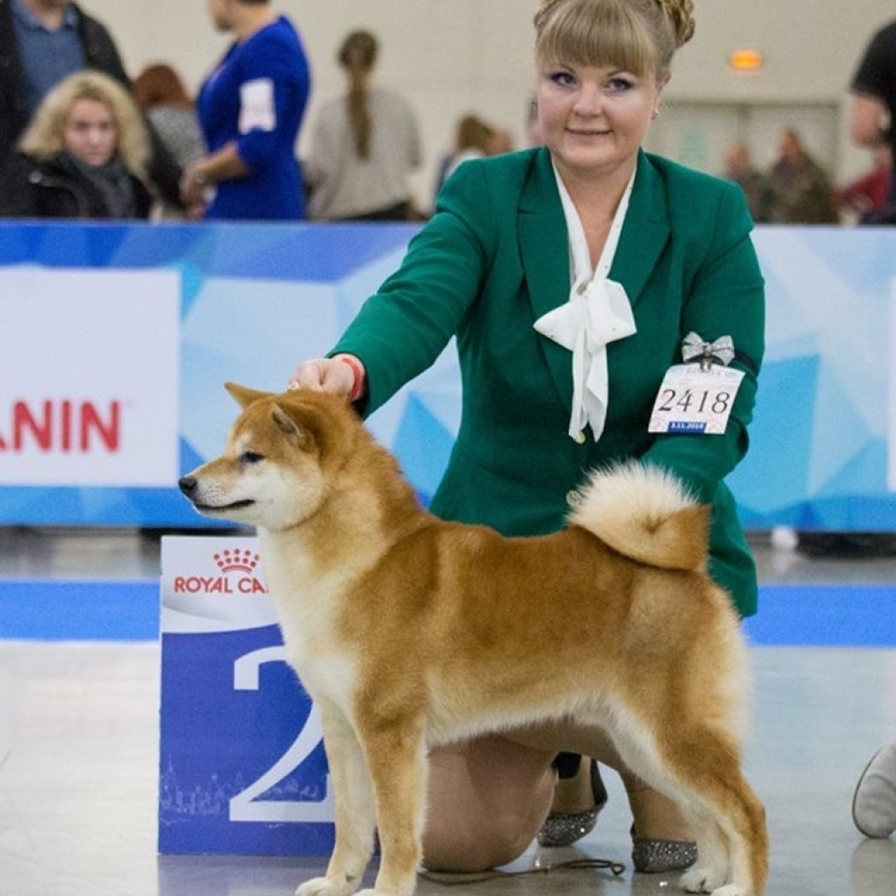 Выпускники питомника. SHIOMARU Питомник сиба и акита-ину