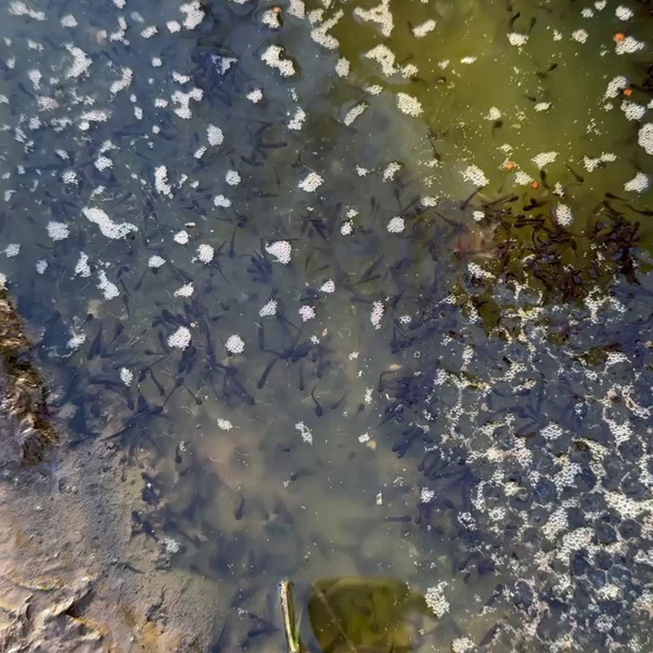 Идем на восток. Портретный фотограф Москва, репортаж и естественная постановка