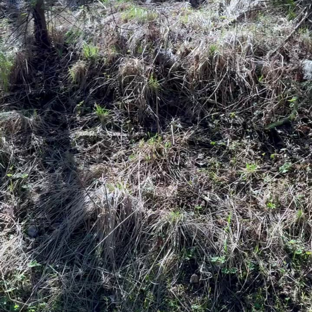 Идем на восток. Портретный фотограф Москва, репортаж и естественная постановка