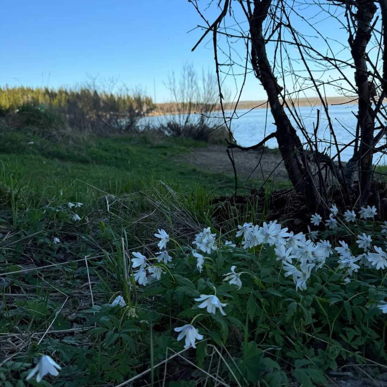Идем на восток. Портретный фотограф Москва, репортаж и естественная постановка