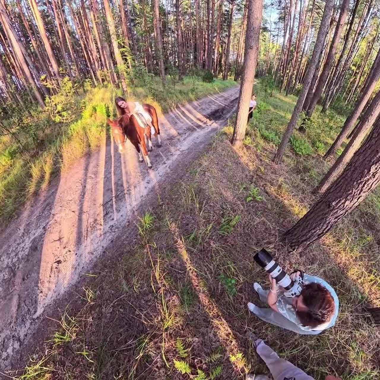 Лошадка