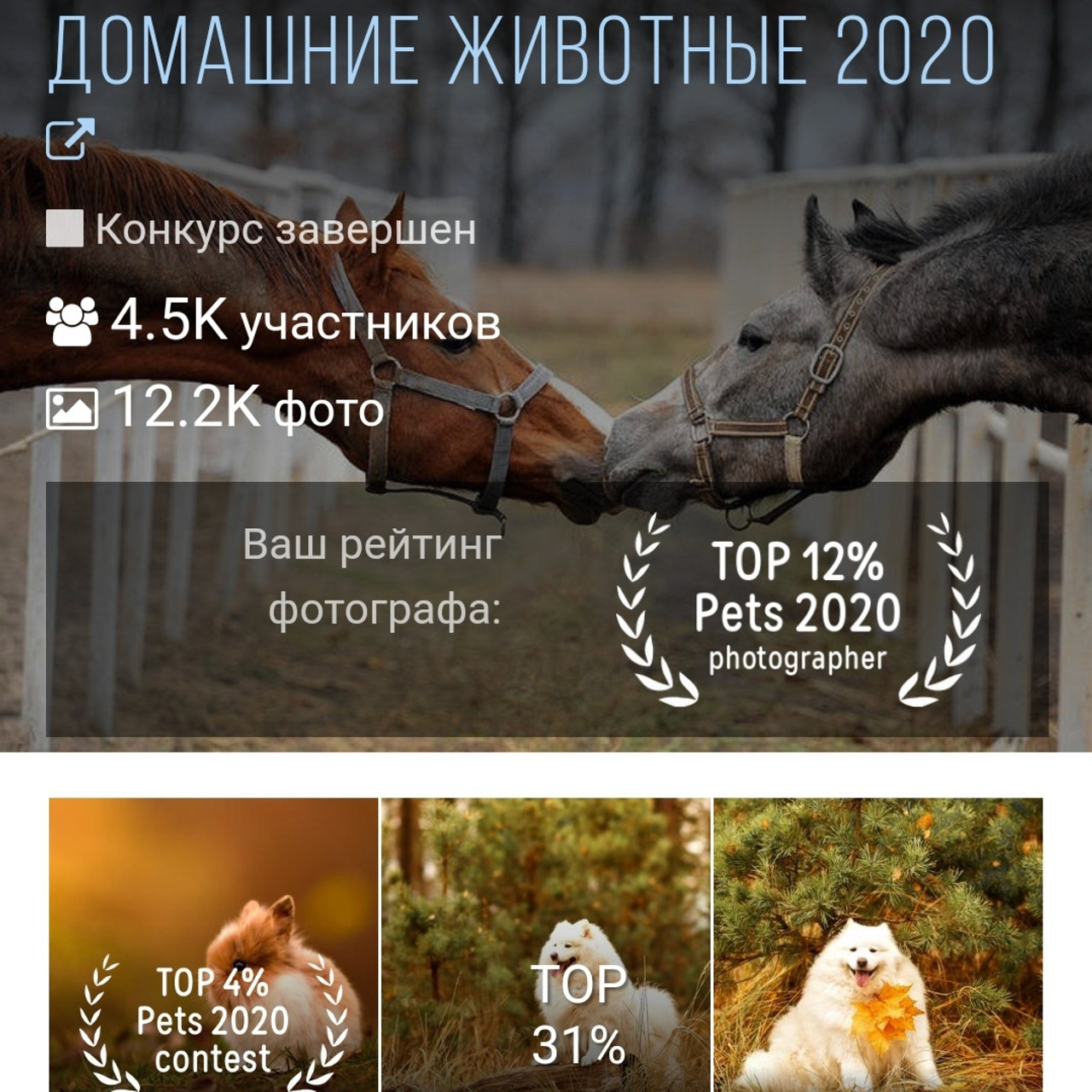 Фотограф беременности и новорожденных малышей Анастасия Никитина