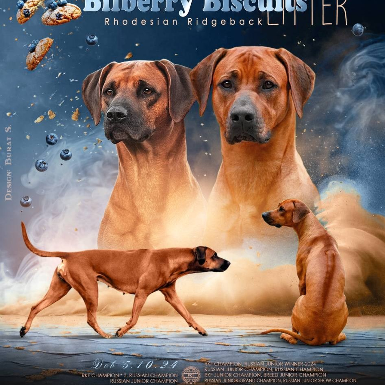 BILBERRY BISCUITS Iz Doma Narayzi