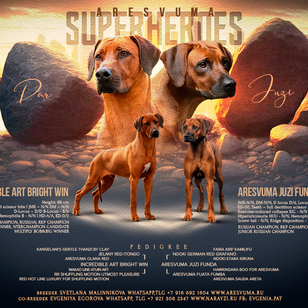 Aresvuma SUPERHEROES