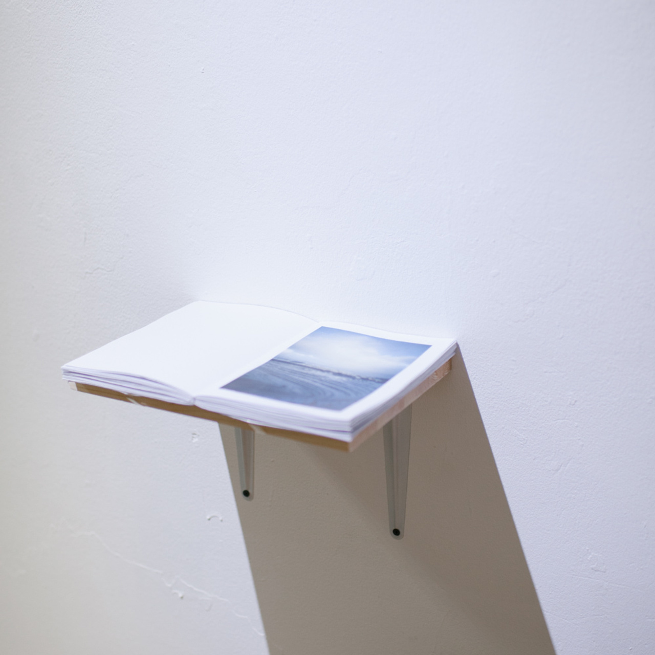 ПОМЕХА В ПЕЙЗАЖЕ. Фотограф Аня Марченкова