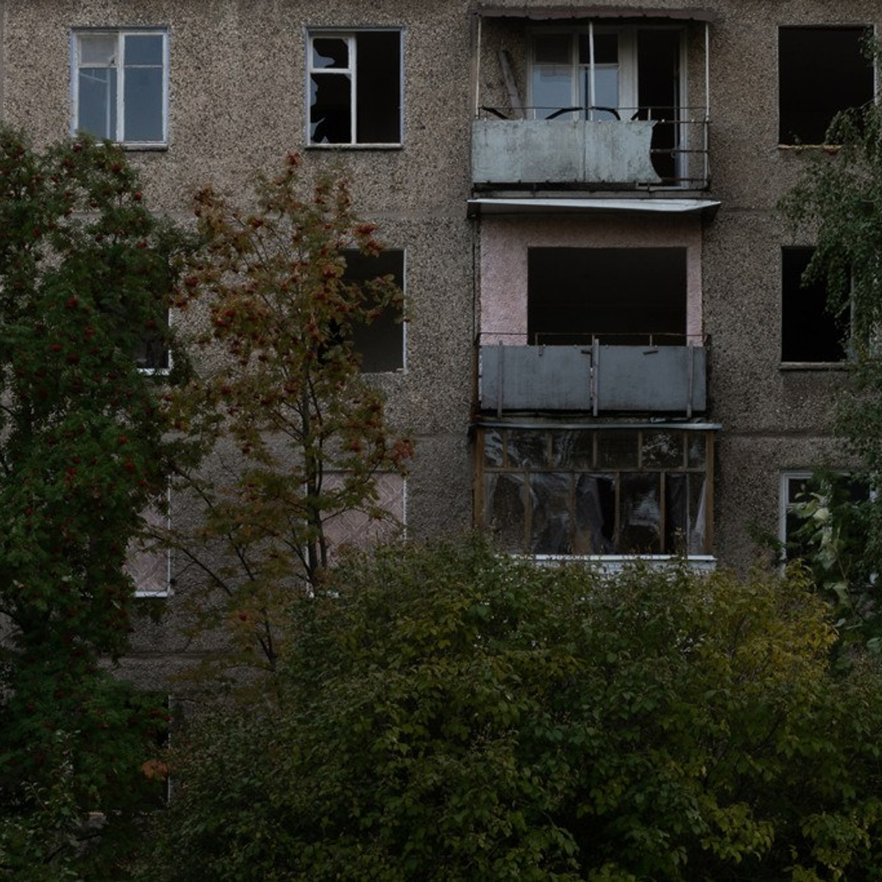 Город белых берёз. Вита Строганова