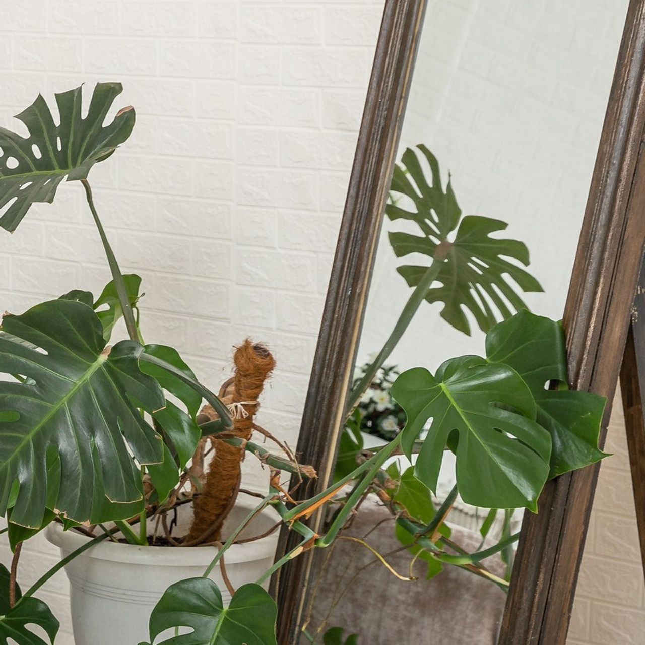 Фотостудия Находка. Детский семейный фотограф в г. Находка Ольга Коваленко, фотостудия Memories