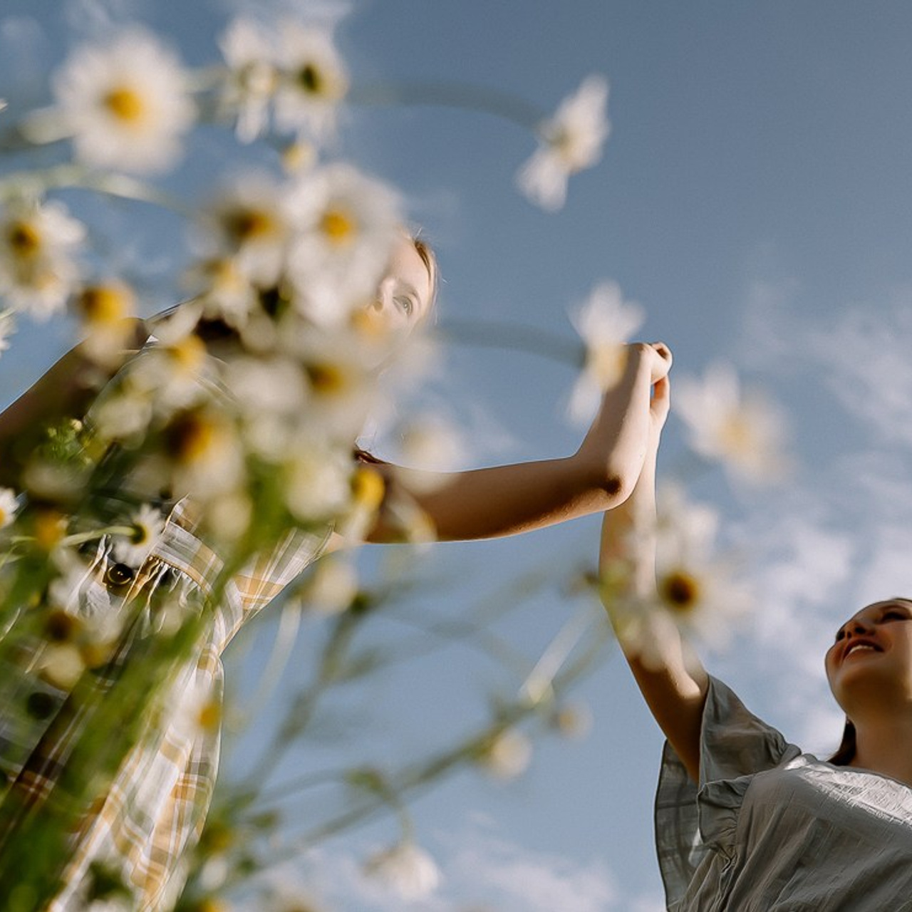 Услуги. Андрейко Надежда