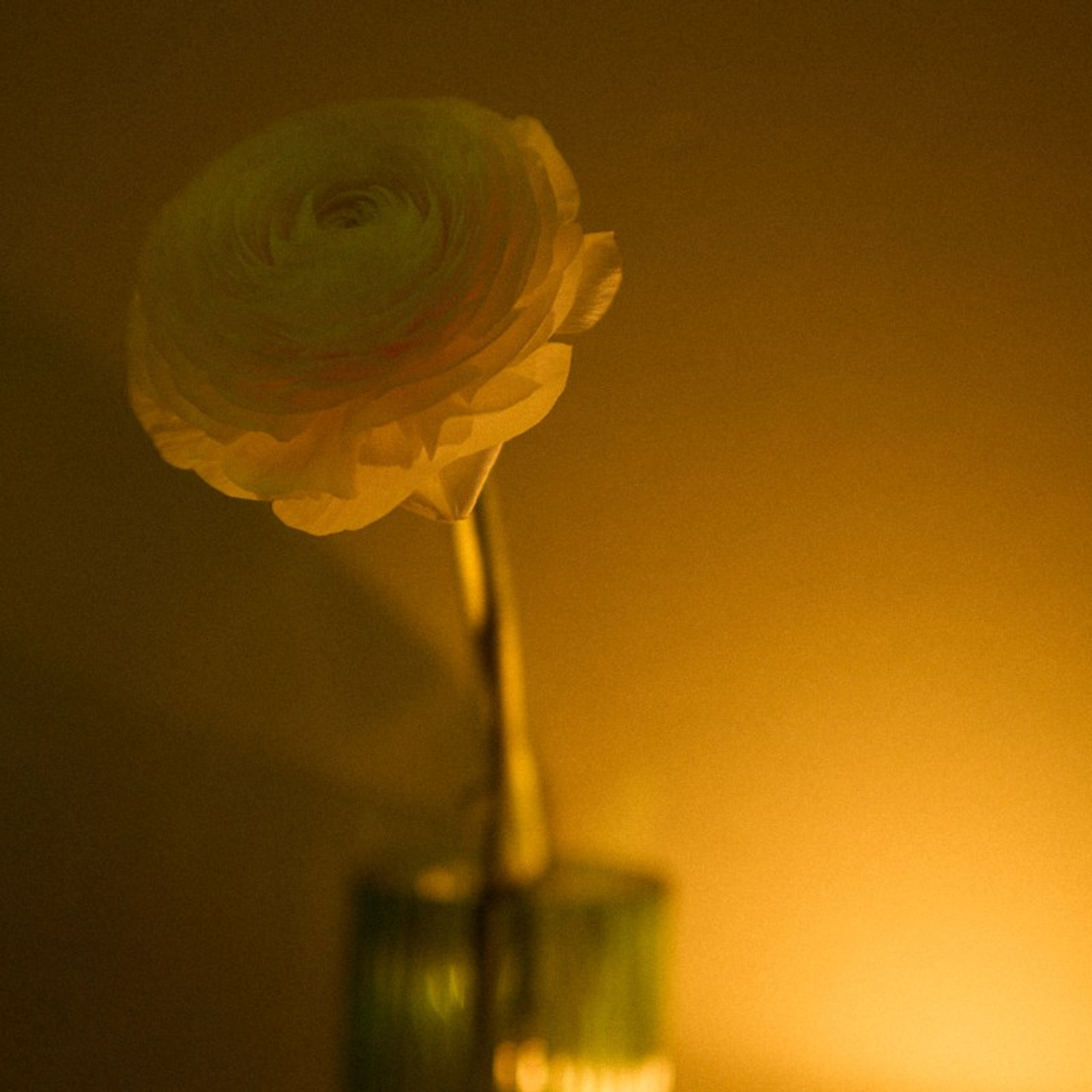 Coloristics в Невротике. Иван Кобяков