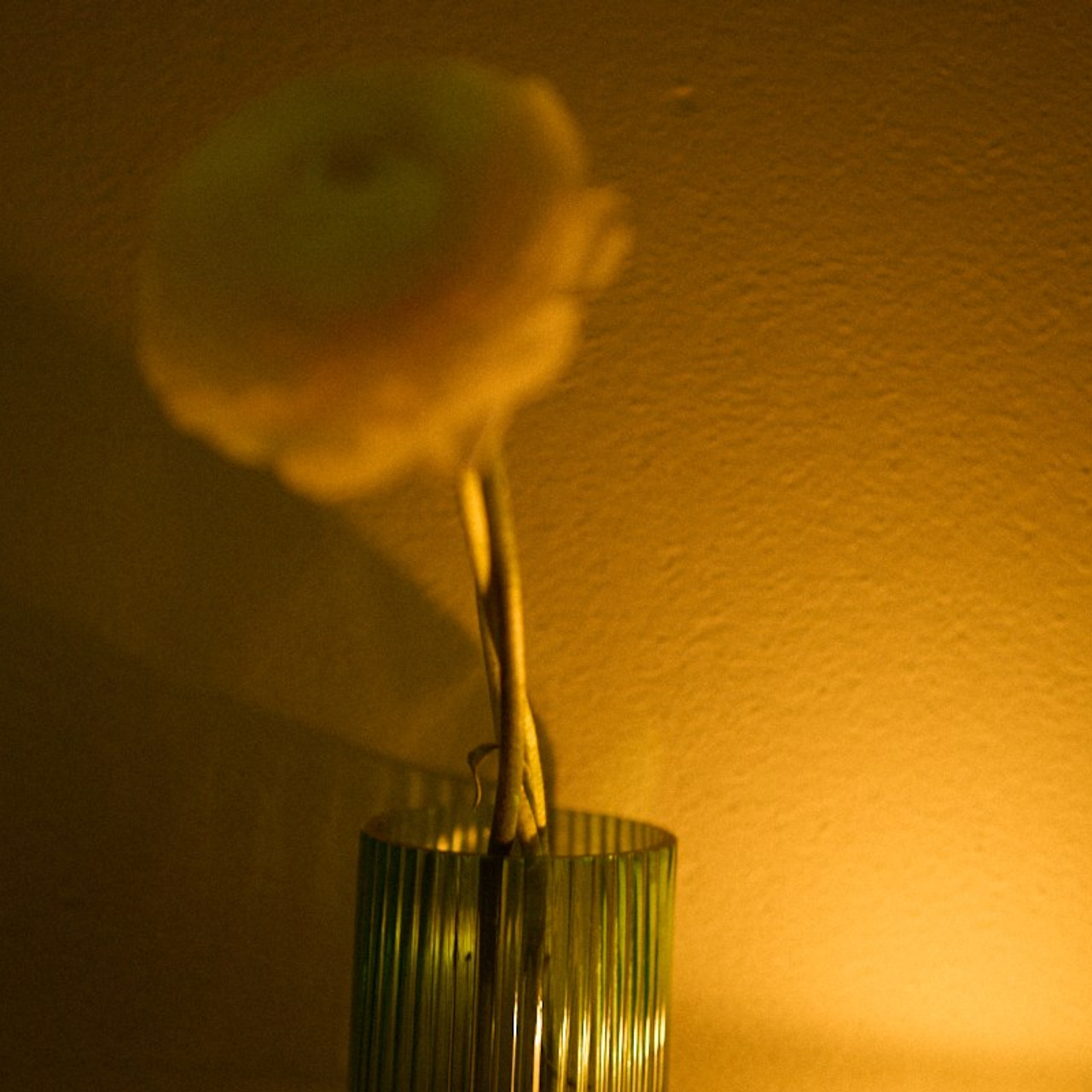 Coloristics в Невротике. Иван Кобяков