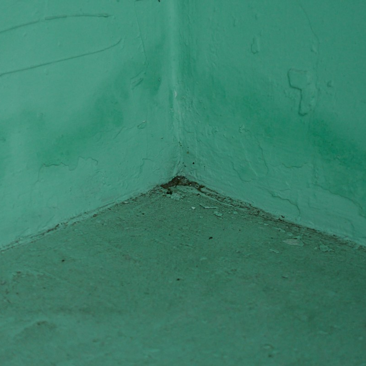 Первый снег. Иван Кобяков