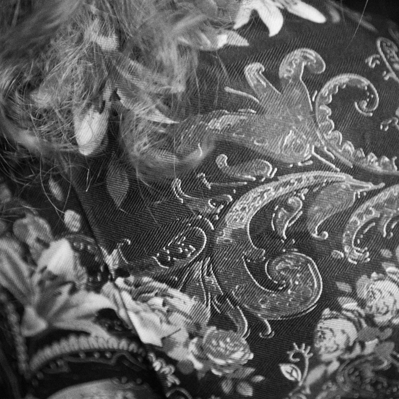 Водочка фест. Иван Кобяков