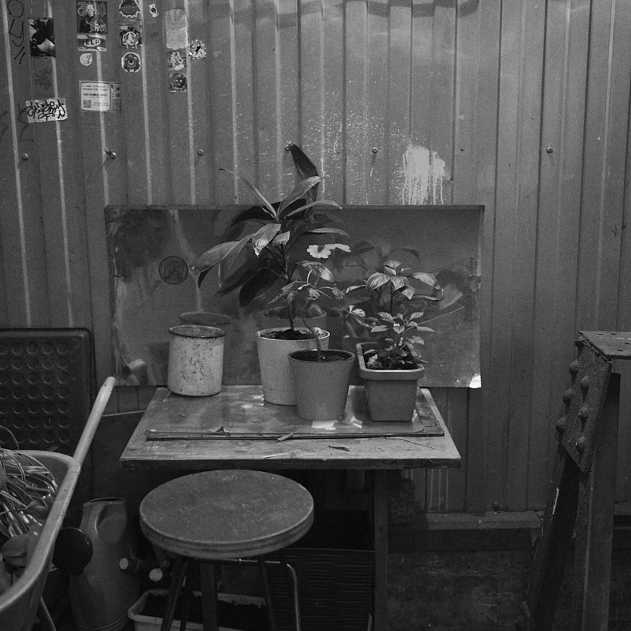 PARANOIA BOOKING: АКТ 4. Иван Кобяков