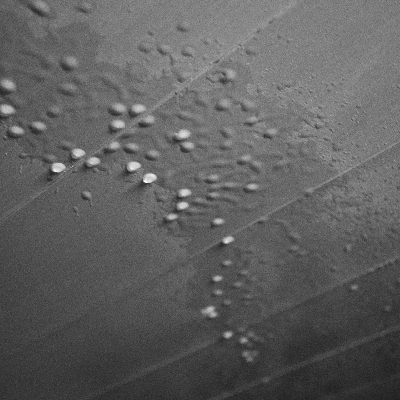 Водочка фест. Иван Кобяков