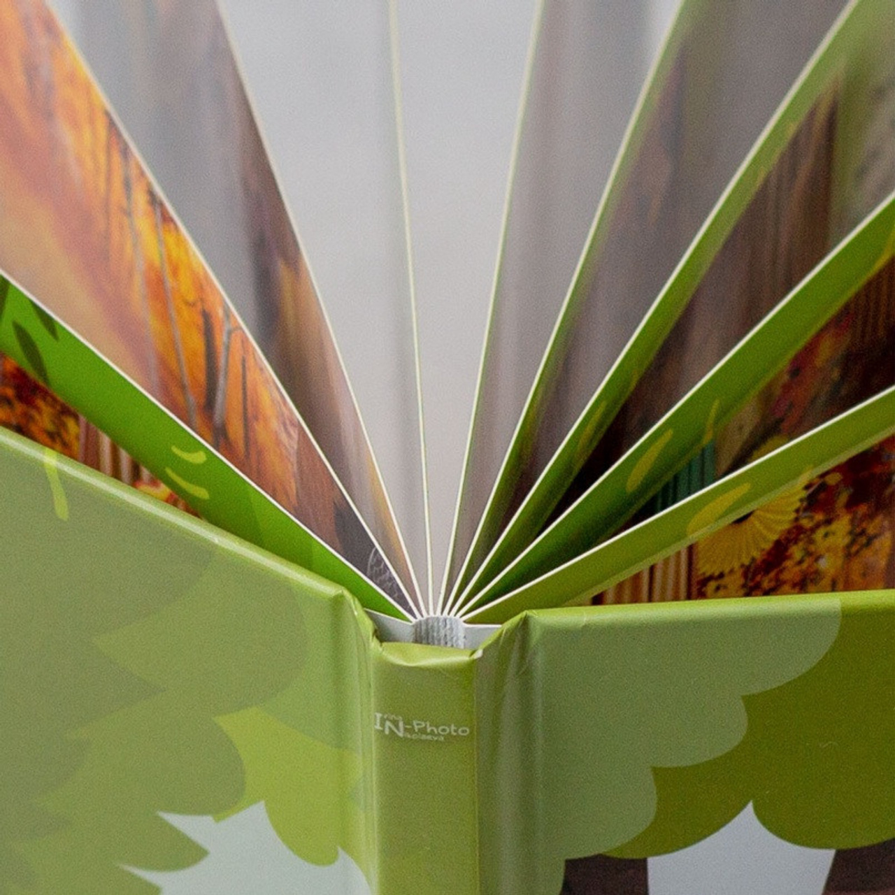 Фотоальбом на утренник в детском саду. Москва. Школьный и детсадовский фотограф Москва. Детский фотограф