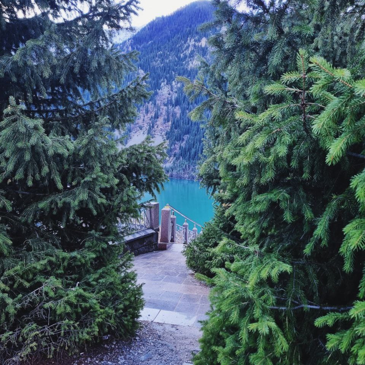 Сцена, открывающая вид на горное озеро Иссык рядом с Алматы через густую зелень елей. Узкая тропинка ведёт к ограждению с видом на бирюзовую воду озера, окружённого величественными лесистыми горами. Атмосфера спокойствия и уединения подчёркивается мягким освещением и природной красотой.