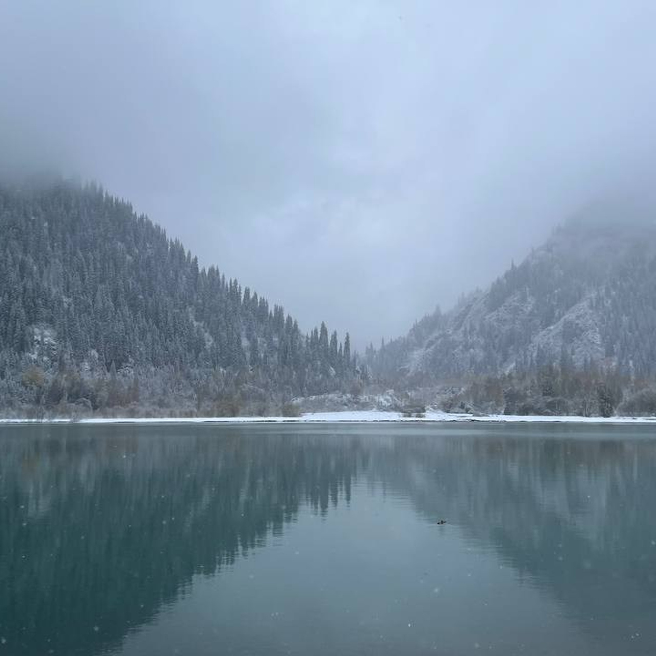 Зимний пейзаж с озером Иссык недалеко от Алматы, окружённым заснеженными горами. Вода спокойная и отражает окружающий ландшафт, создавая ощущение симметрии. Горы покрыты хвойным лесом, заснеженным после недавнего снегопада. Небо затянуто серыми облаками, добавляя картине меланхоличное и холодное настроение.