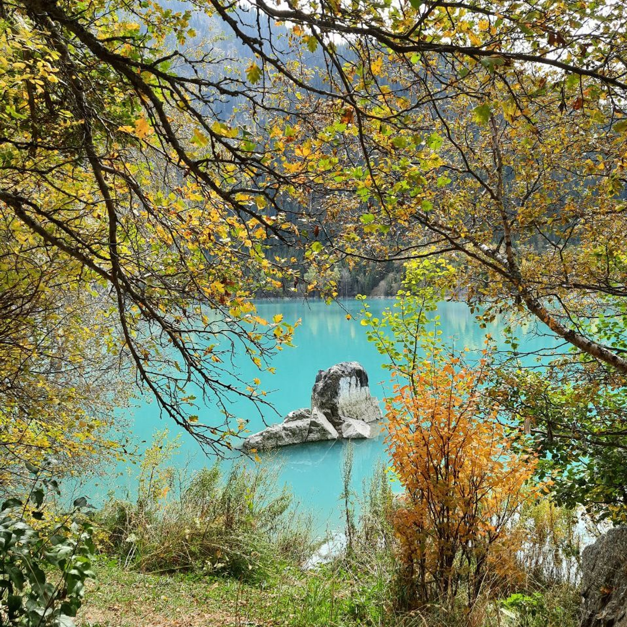Пейзаж с бирюзовым озером Иссык рядом с Алматы, окружённым осенними деревьями. Ветви деревьев с золотыми и зелёными листьями образуют естественную рамку вокруг вида на воду. В центре озера виден камень или небольшой скалистый островок. Берег покрыт травой и кустарниками с яркими оттенками осени.