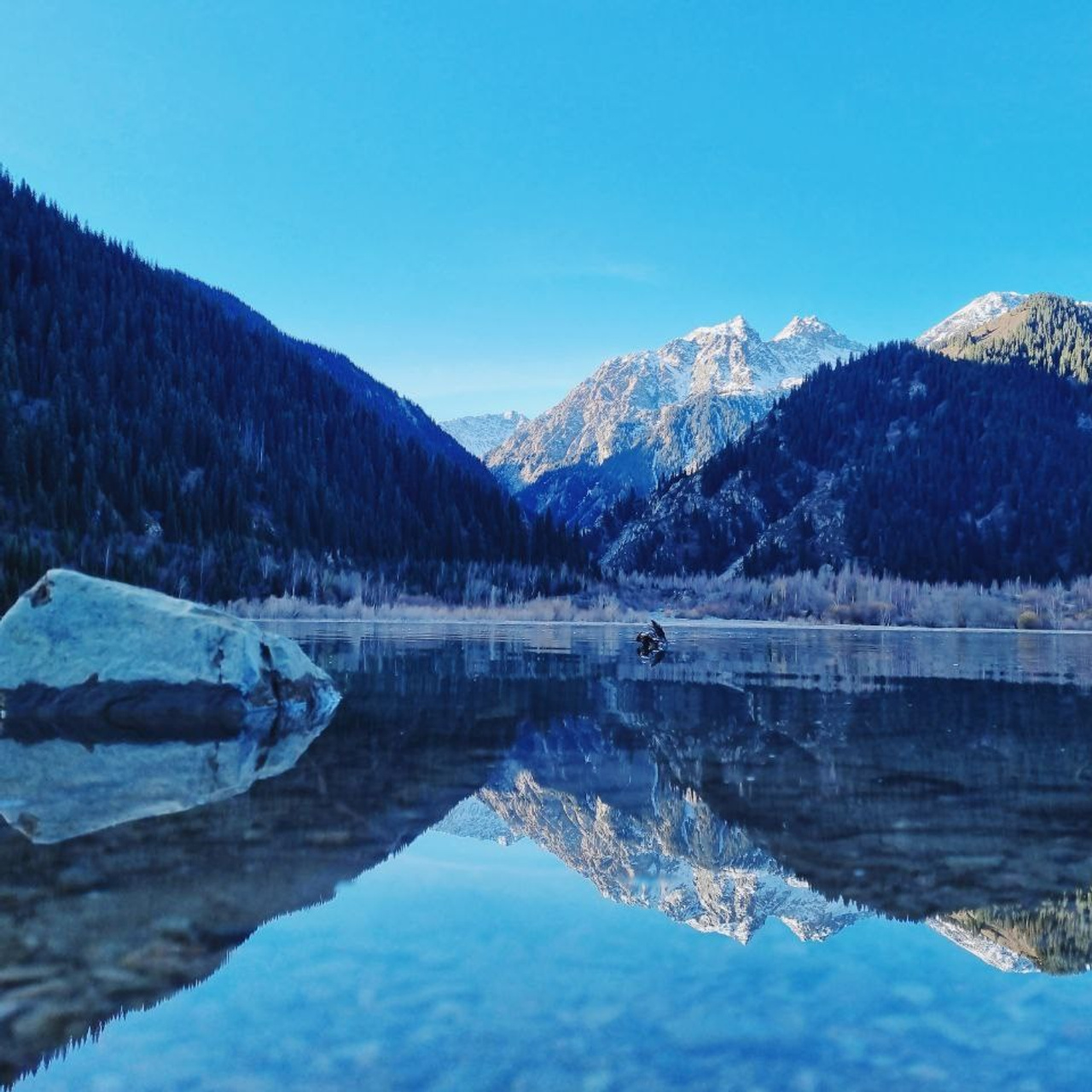 Прозрачное горное озеро Иссык в Алматинской области с идеально отражающимися снежными вершинами на фоне синего неба. Озеро окружено густыми хвойными лесами, а вдалеке видны величественные горные пики, покрытые снегом. На переднем плане — крупный камень в воде, создающий точку фокуса. Атмосфера спокойствия и чистоты природы.