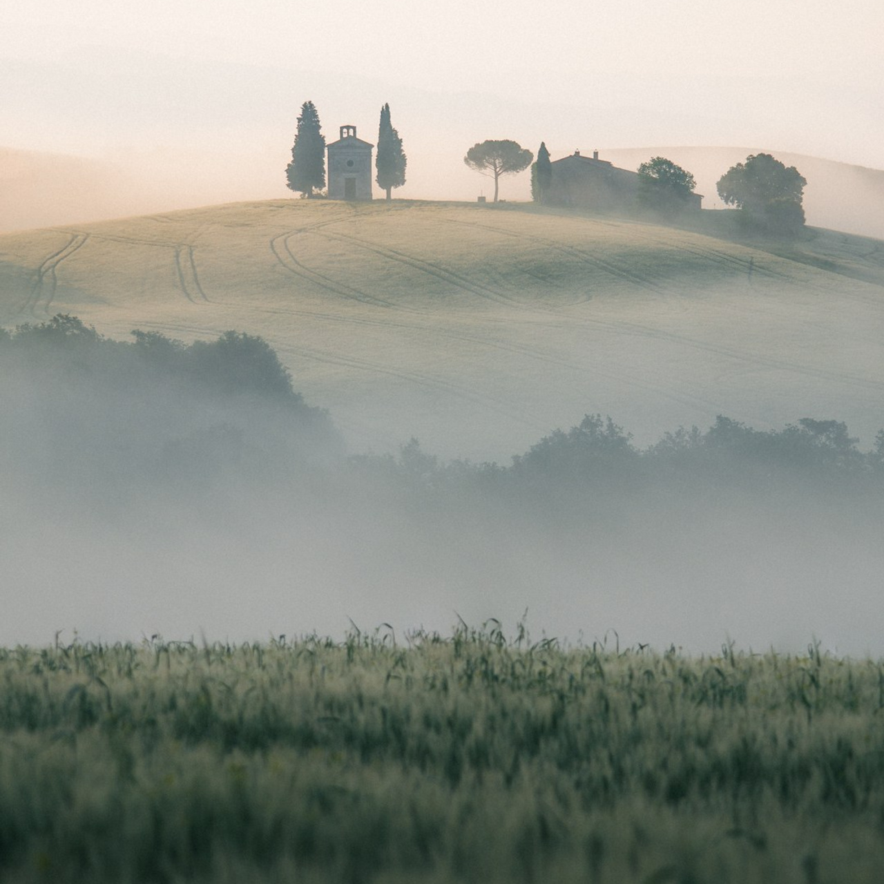 Landscape
