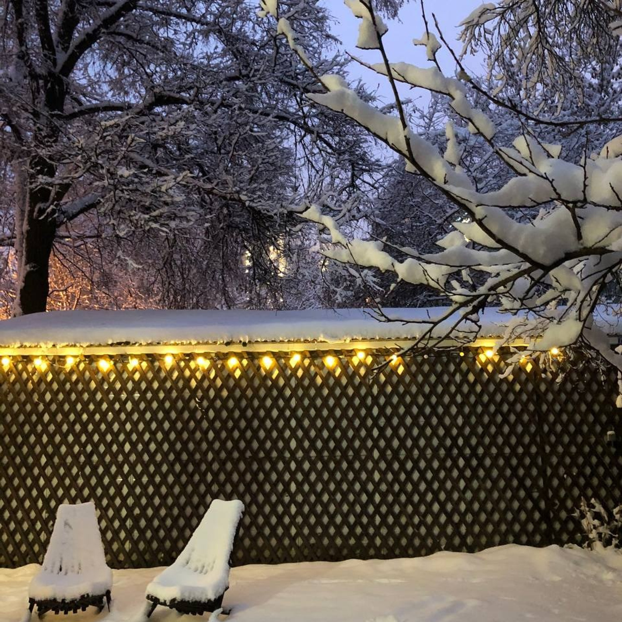 ВЫПУСКНЫЕ ХХ. Портретный творческий фотограф в Москве Надя Дудник