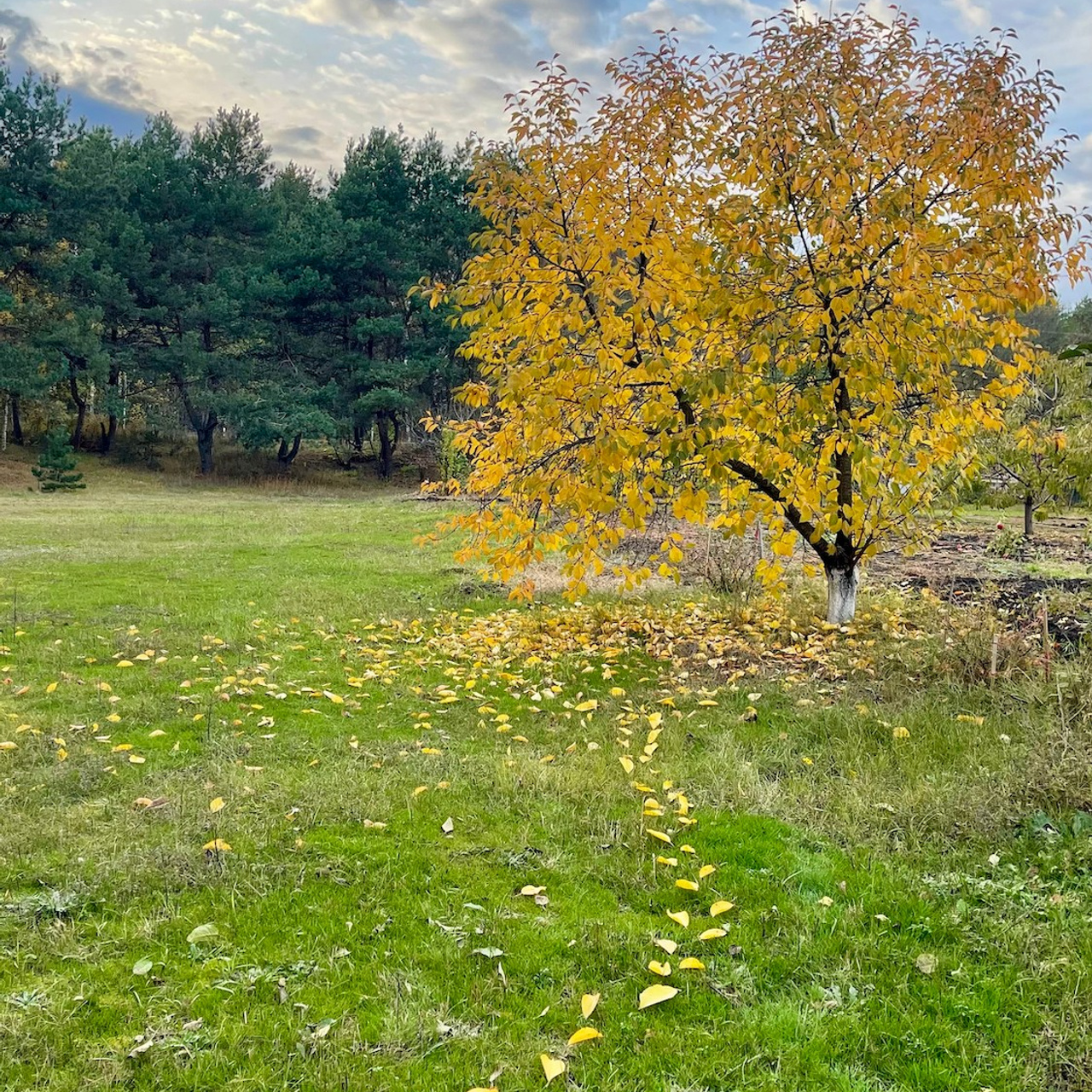 Портретный фотограф в Москве Максим Бут