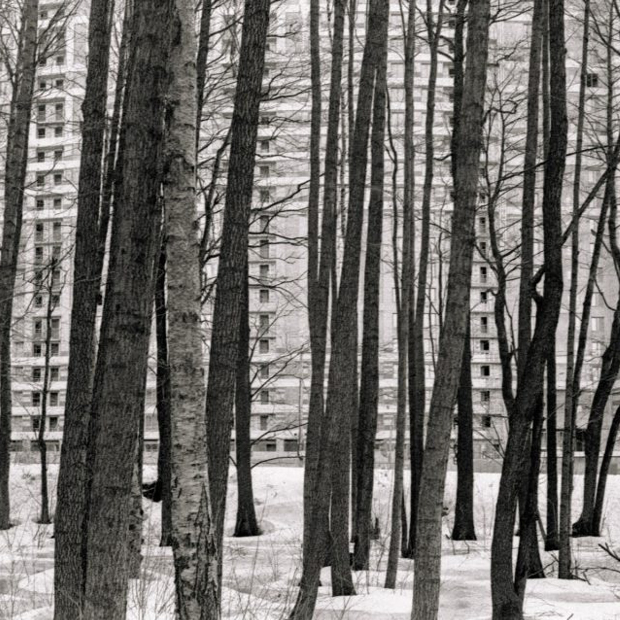 Обзор плёночного фотоаппарата Canon 7. Илья Михачёв Фотограф ПРО людей