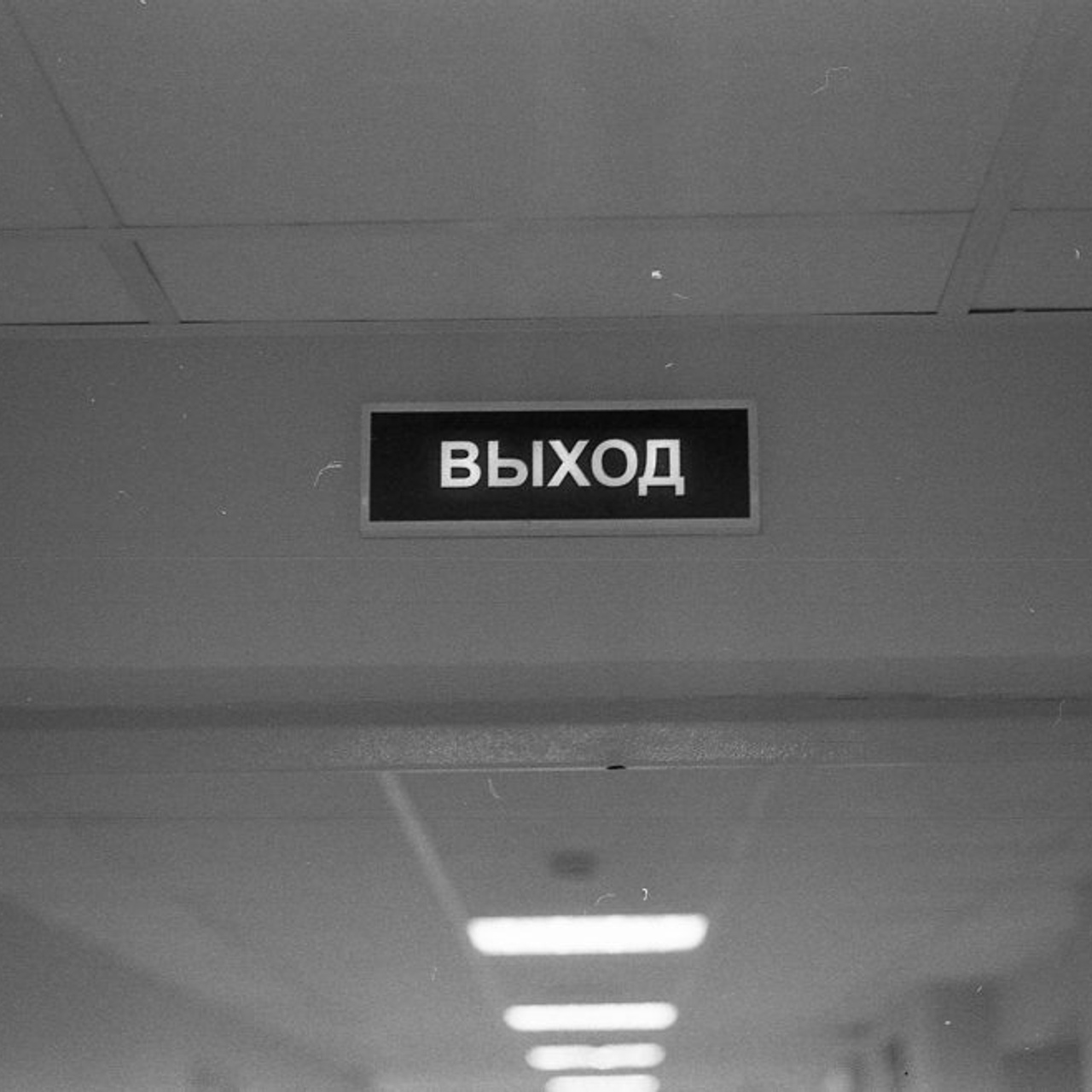 Обзор плёночного фотоаппарата Canon 7. Илья Михачёв Фотограф ПРО людей