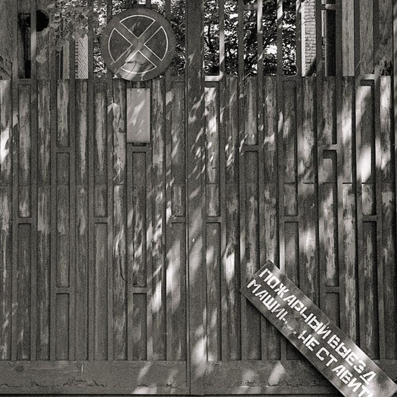 Обзор плёночного фотоаппарата Canon 7. Илья Михачёв Фотограф ПРО людей