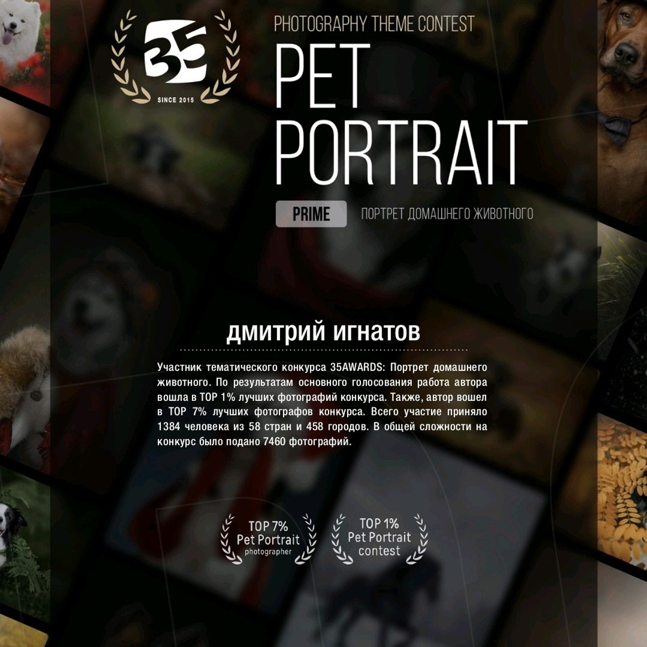 Обо мне. Предметный фотограф в Воронеже Дмитрий Игнатов