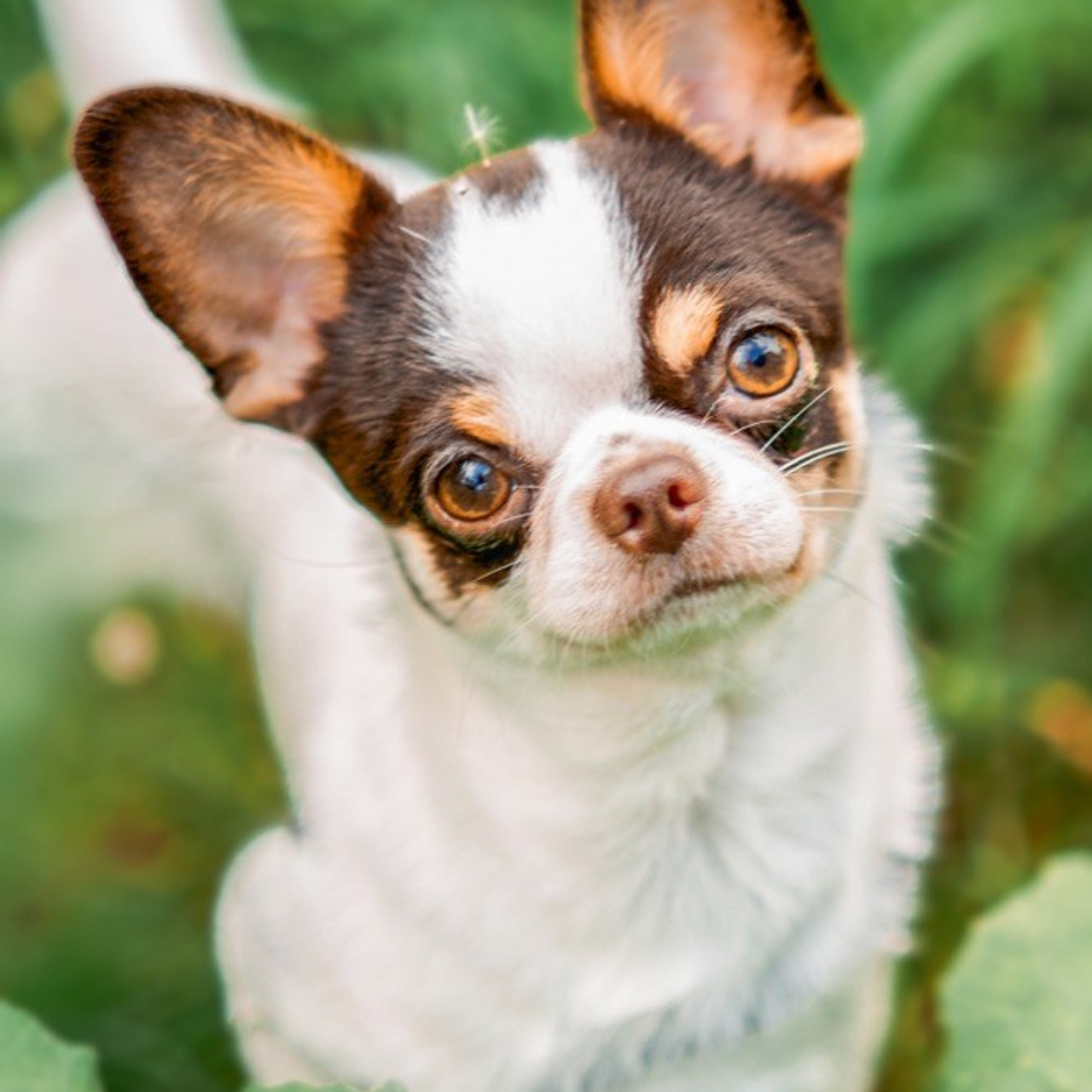 Фотограф Юлия Попова